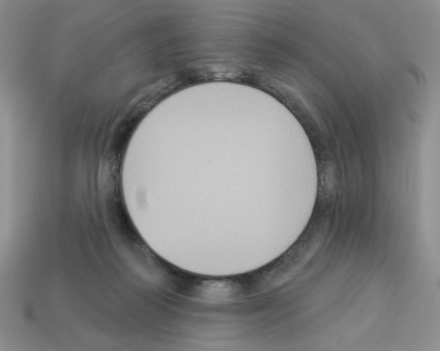 X0000112960218200910081052