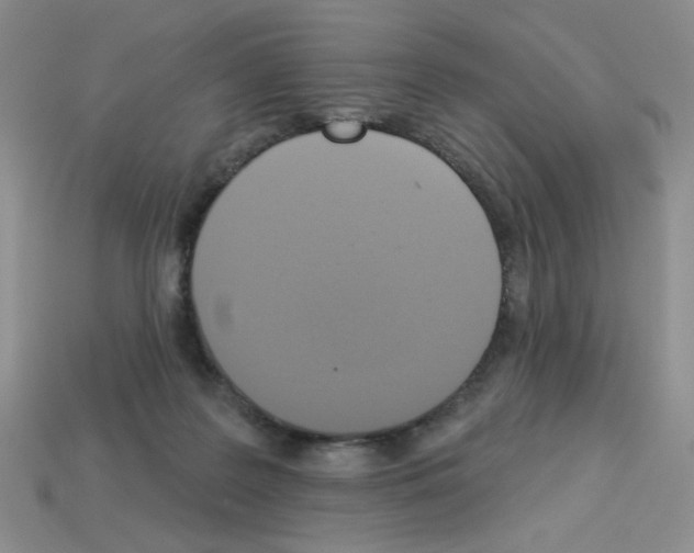 X0000112960219200910081052