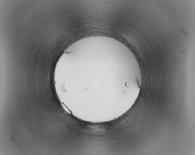 X0000112960221200910081052