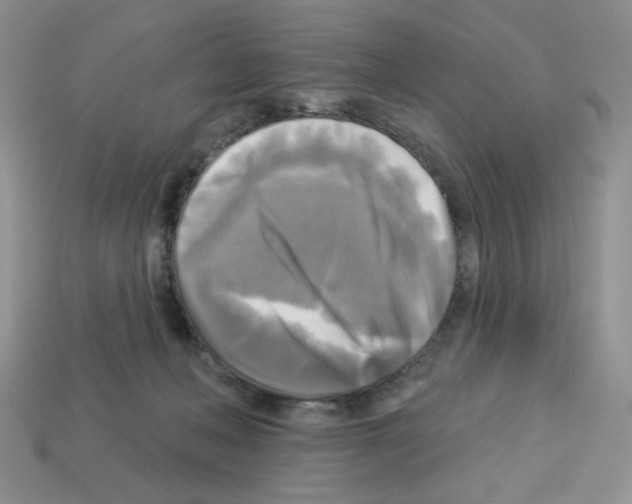 X0000112960222200910081052