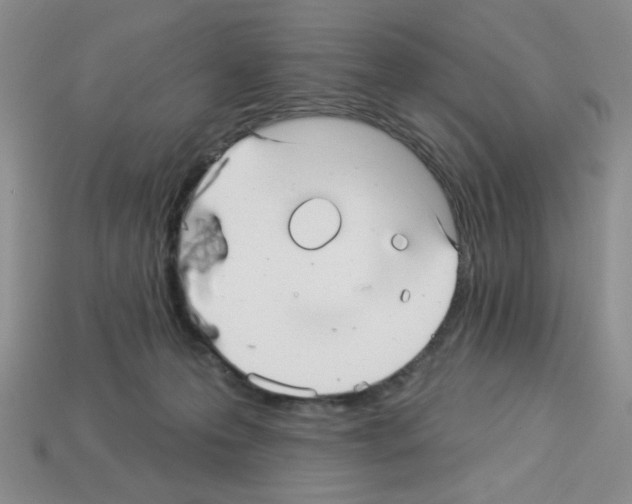 X0000112960223200910081052