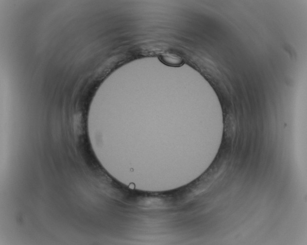 X0000112960224200910081052