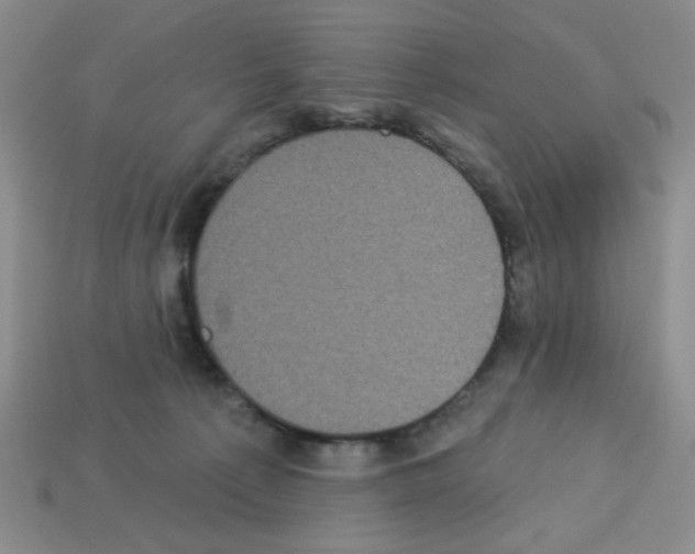 X0000112960225200910081052