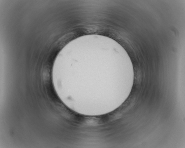 X0000112960226200910081052