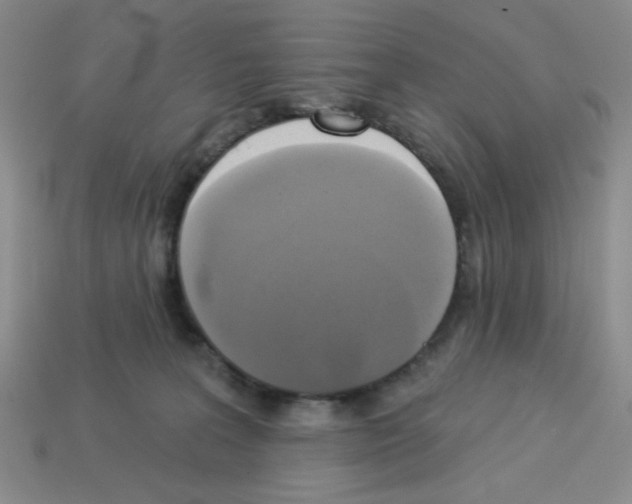 X0000112960227200910081052