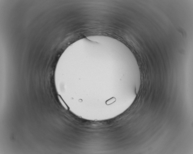 X0000112960229200910081052