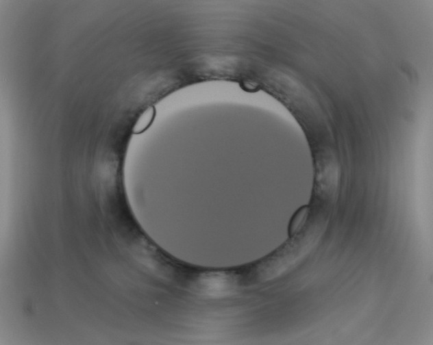 X0000112960231200910081052