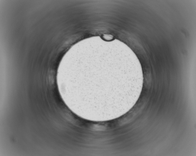 X0000112960232200910081052