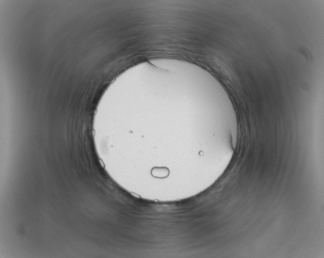 X0000112960233200910081052