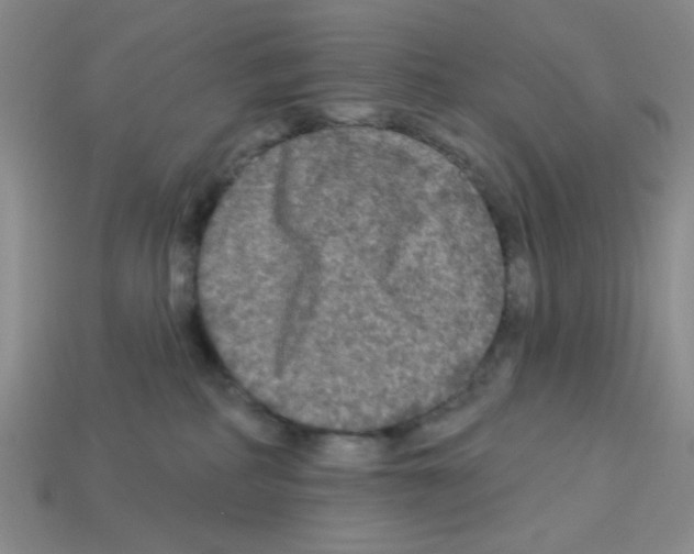 X0000112960234200910081052