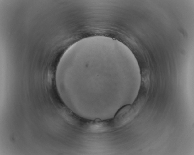 X0000112960235200910081052