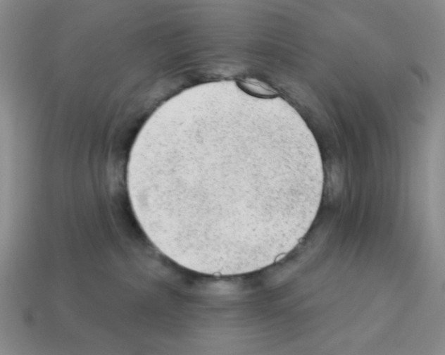 X0000112960236200910081052