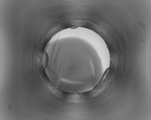 X0000112960237200910081052