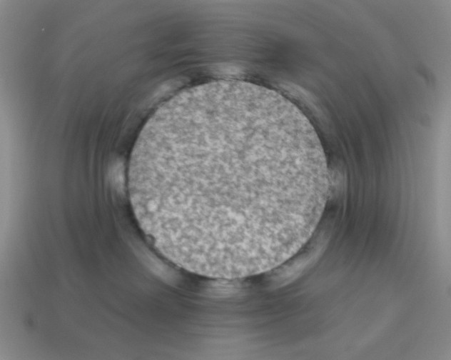 X0000112960238200910081052