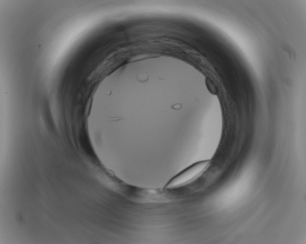 X0000112960239200910081052