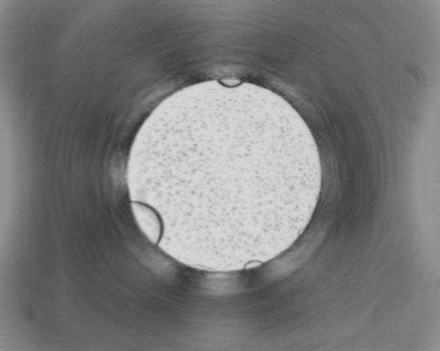 X0000112960240200910081052