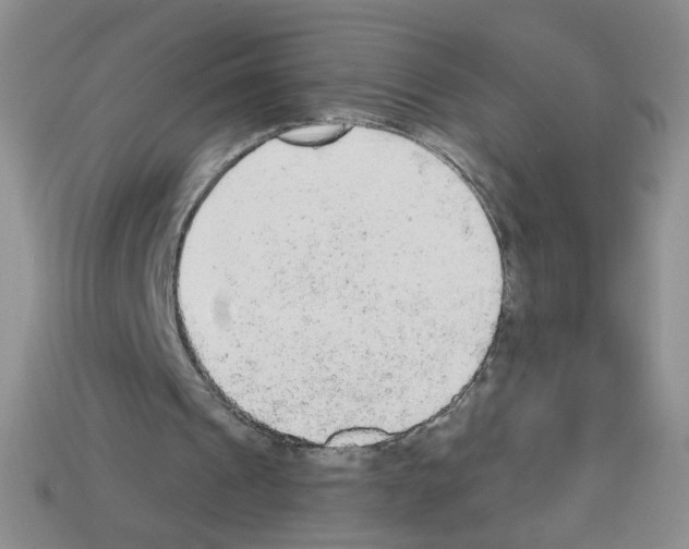 X0000112960241200910081052