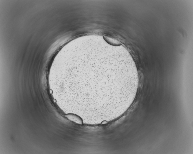 X0000112960245200910081052