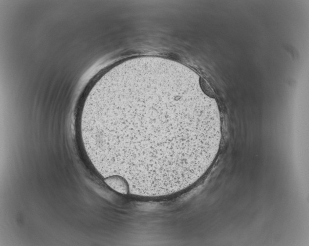 X0000112960246200910081052