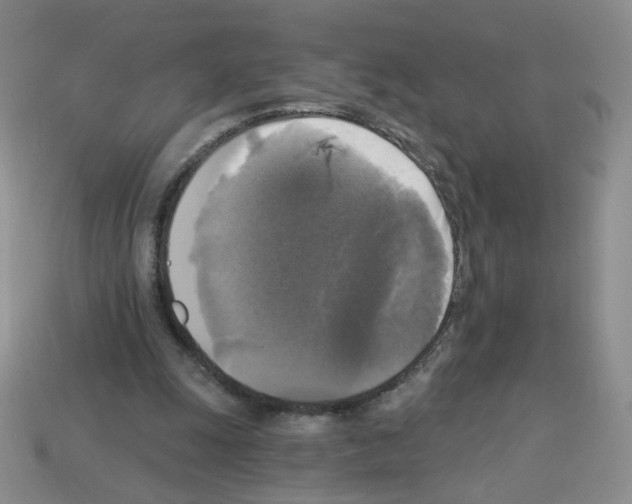 X0000112960247200910081052