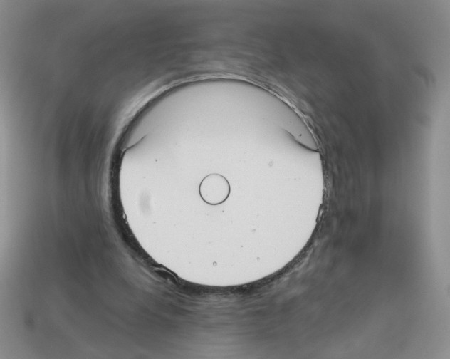 X0000112960248200910081052