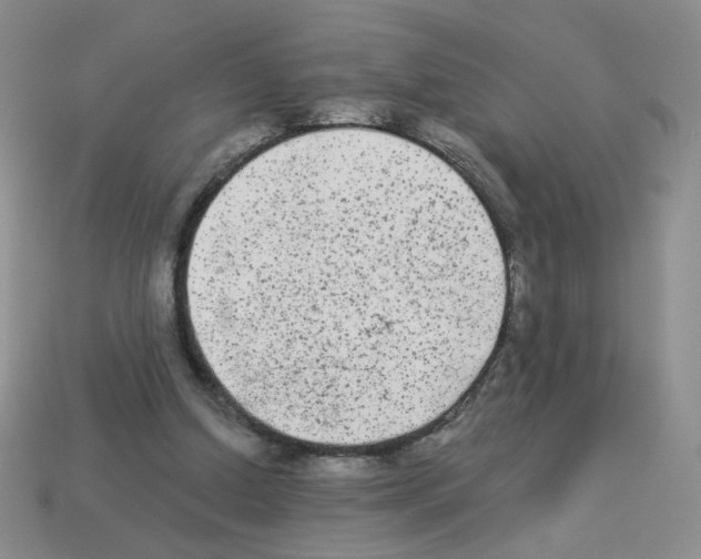 X0000112960250200910081052