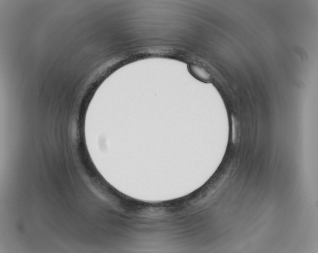 X0000112960252200910081052