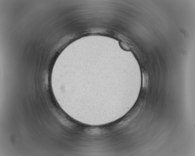 X0000112960253200910081052