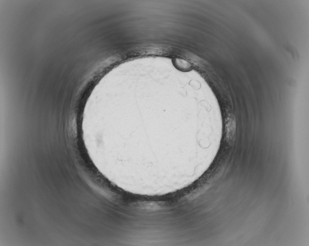 X0000112960254200910081052