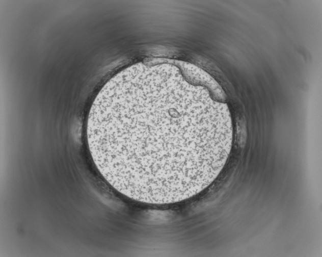 X0000112960255200910081052