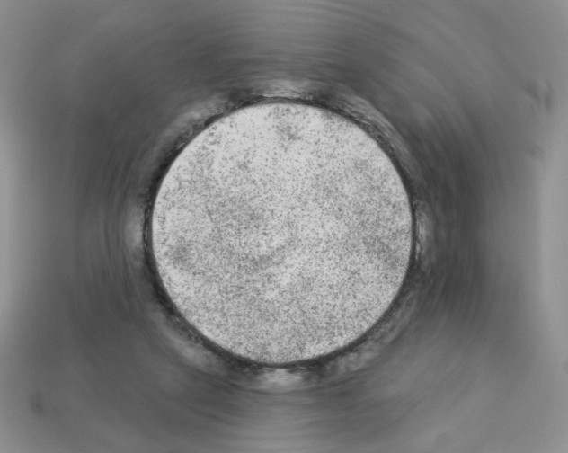 X0000112960257200910081052