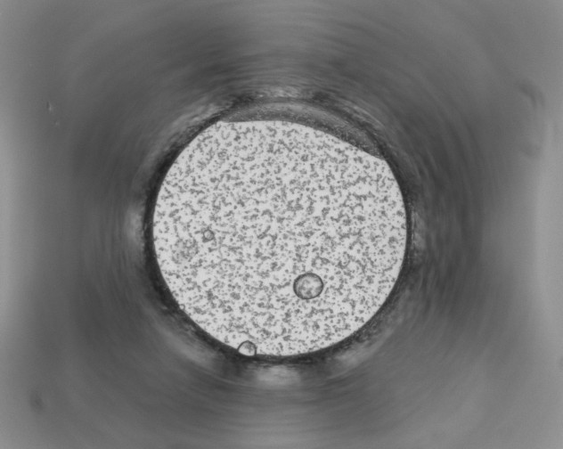 X0000112960258200910081052