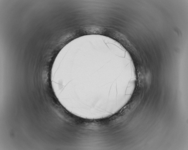 X0000112960259200910081052