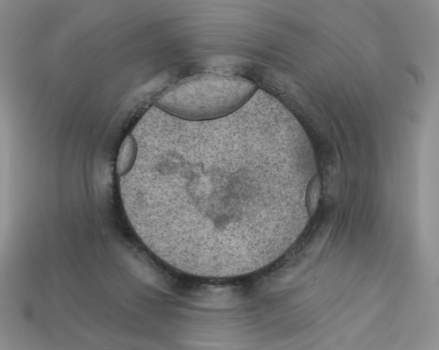 X0000112960260200910081052