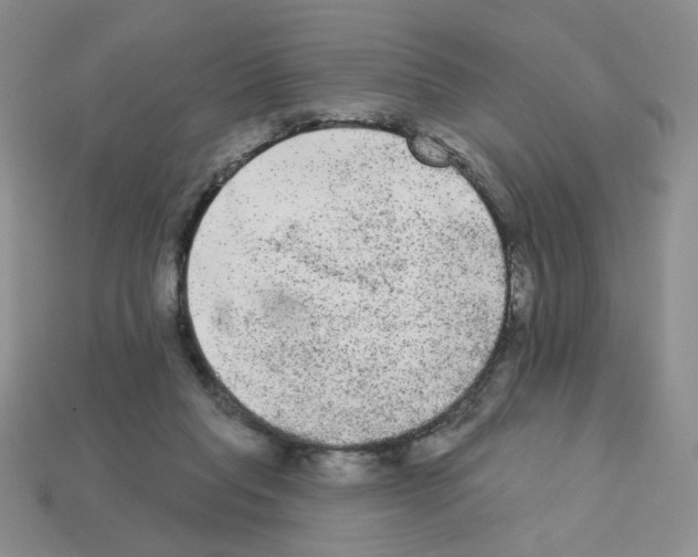 X0000112960261200910081052