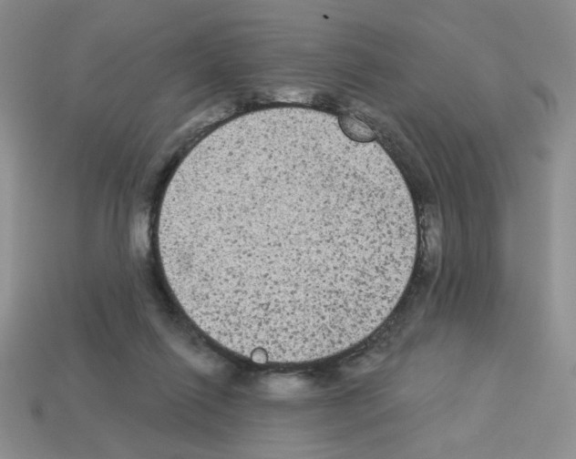 X0000112960262200910081052