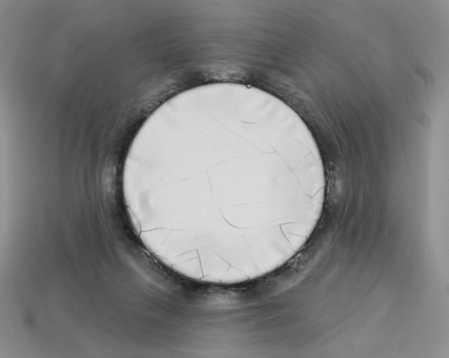 X0000112960263200910081052