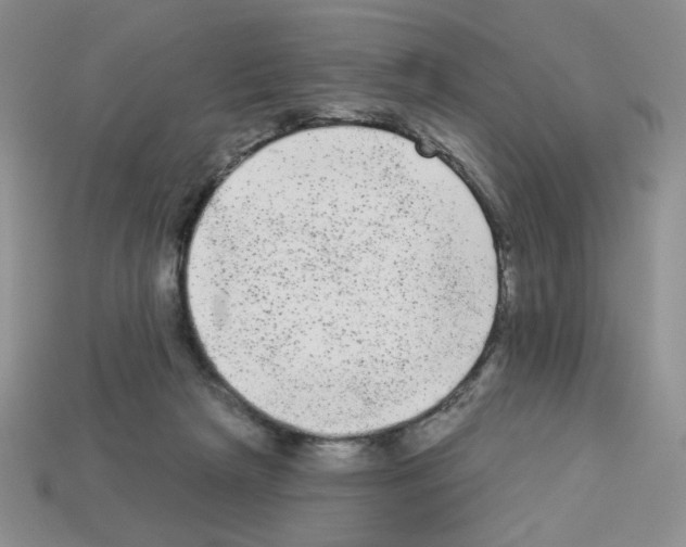 X0000112960265200910081052