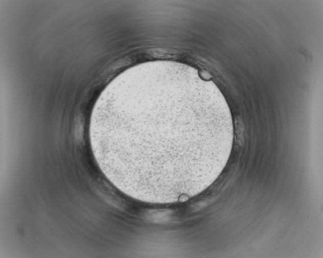 X0000112960266200910081052