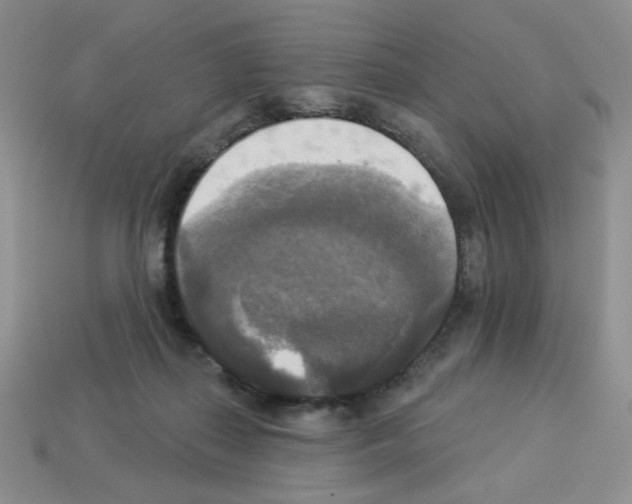 X0000112960267200910081052