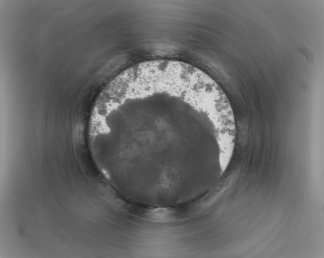 X0000112960269200910081052