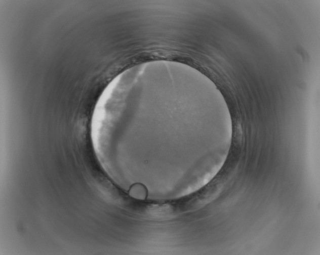 X0000112960271200910081052