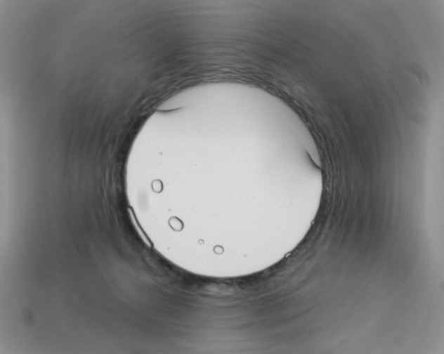 X0000112960272200910081052