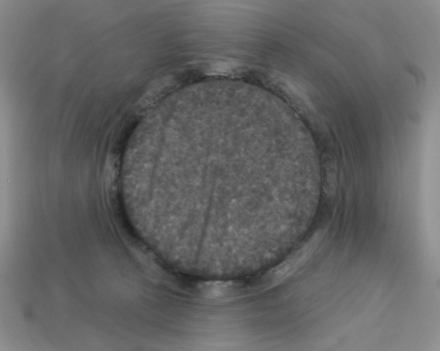 X0000112960273200910081052