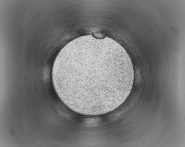 X0000112960274200910081052