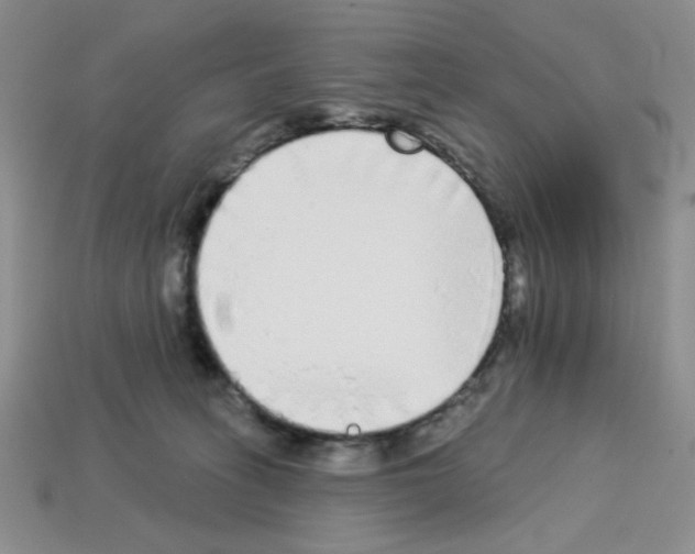 X0000112960275200910081052