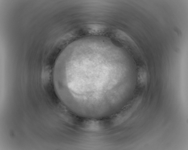 X0000112960276200910081052