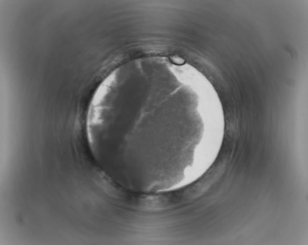 X0000112960277200910081052