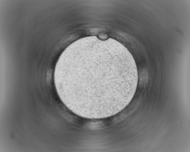 X0000112960278200910081052