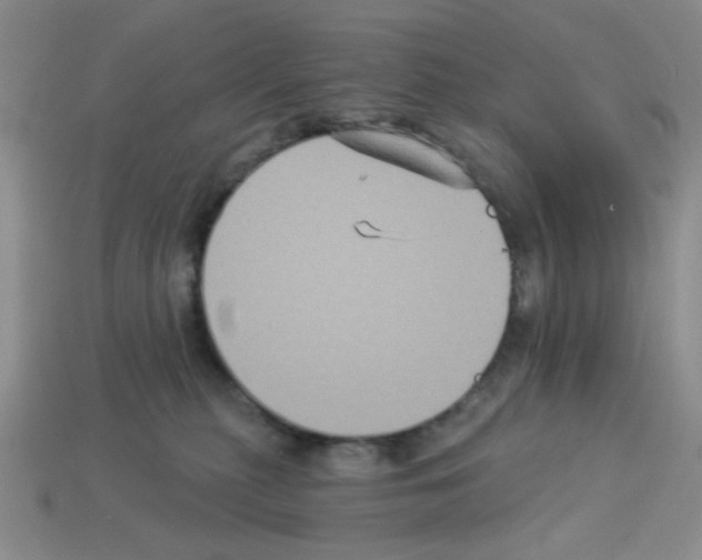 X0000112960279200910081052